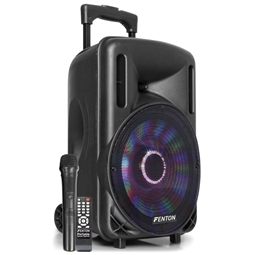 Retourdeal - Fenton FT10LED karaoke speaker 450W 10" met LEDs
